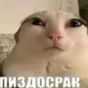 Аватар jalu24v2