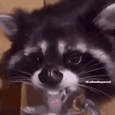 kovu00