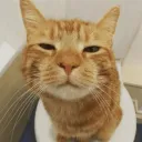 bynhvjppro