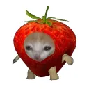 maron_xr avatar