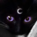 coxxnor avatar