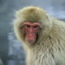 tomu3248のアバター