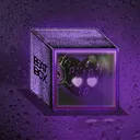 dc_purp
