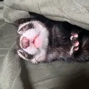 joobsty