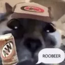 a_wcat10 avatar