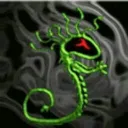 meduzapat