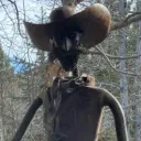 salsburytorso