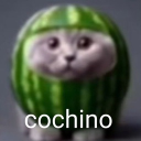 avatar ୭ ˚.  dari diddle fart  !!