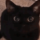 avatar 𝐬𝟒𝐬𝐡𝐚