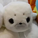 koreg_