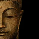 bityogi