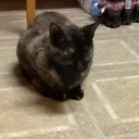 next_level_luke avatar