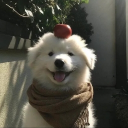 JAM