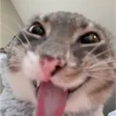 s0nnenschein
