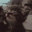 avatar berri ⋆.𐙚 ̊