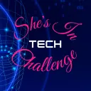 shesintechchallenge7962