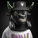 joelcbs7794