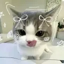 c1nam0nx. avatar