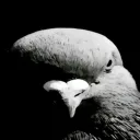 Аватар vladislave2008pon