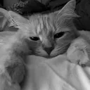 justme.lol