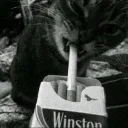 stxrz.qx