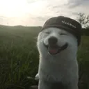 zurkob0b