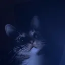 okdargy