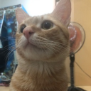 cs131941309's Avatar