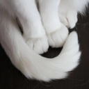 avatar vish's dih🥓🥓