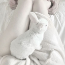 avatar vish's dih🥓🥓