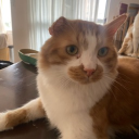 avatar La Belle Dame Sans Merci