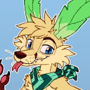 avatar Nas 🛬 Home