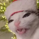 myssticcss