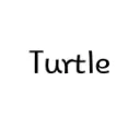 turtle_neck153322