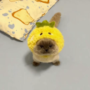 avatar PrinceDamian✝