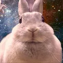 bunny_lover_ace