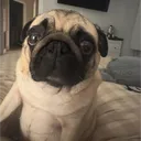 jaamaby