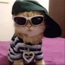 jamilprz