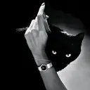 meadorescats