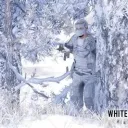 bear_bear1