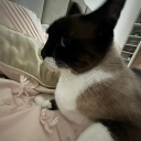 avatar TheSomebody1234 (a ler)