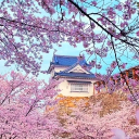 avatar Xx_Galaxy_x23 -ben