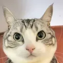 mrpunk1