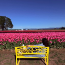 avatar .𝖘𝖙𝖊𝖕𝖍.