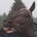 dzlwnynickniedziwnynick