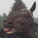 dzlwnynickniedziwnynick