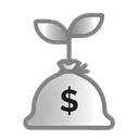 Asset Entities