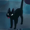 cattoween