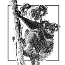 koalagardens