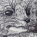 avatar Vulpes vulpes